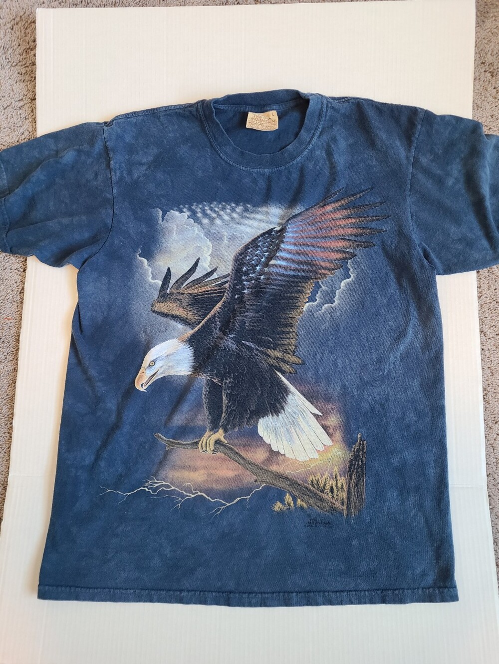 Vintage The Mountain Eagle T Shirt Size L 100% Cotton USA Wildlife Bald Eagle